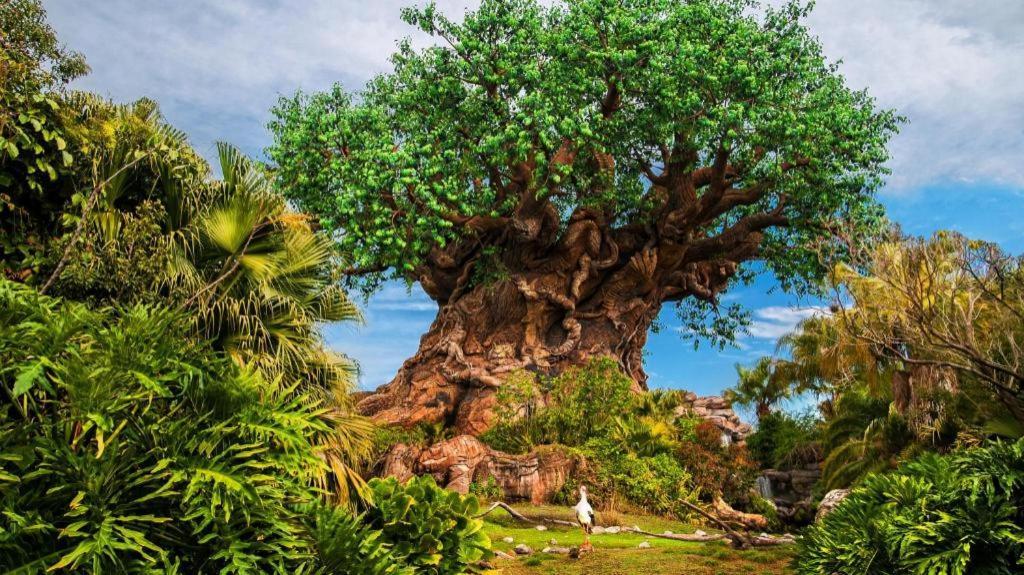 Disney'S Coronado Springs Resort Lake Buena Vista Exteriör bild